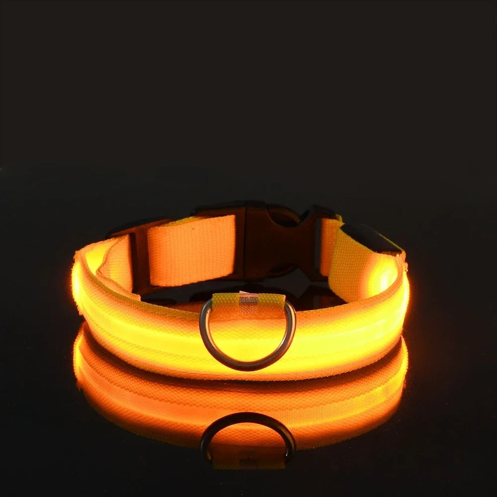 LED Night Safety Dog Collar - Glow in the Dark Flashing