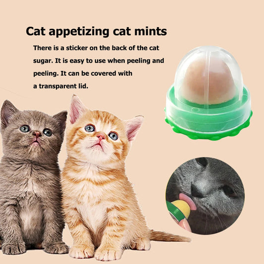 Cat Catnip Licking Candy – Fish Gel Energy Ball Snack to Boost Hydration