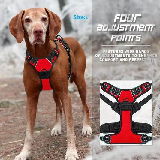 Dog Harness, Collar & Leash Set - Leather Puppy Accessories