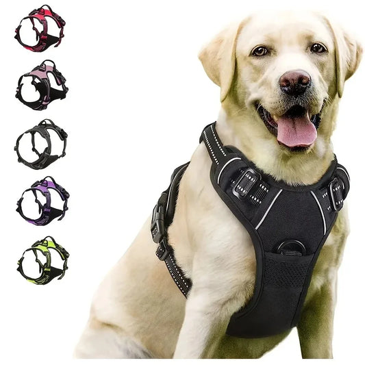 Dog Harness, Collar & Leash Set - Leather Puppy Accessories