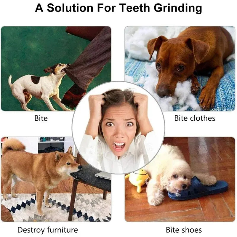 Dog Treat Feeder Chew Ball - Tooth Cleaning & Non-Toxic