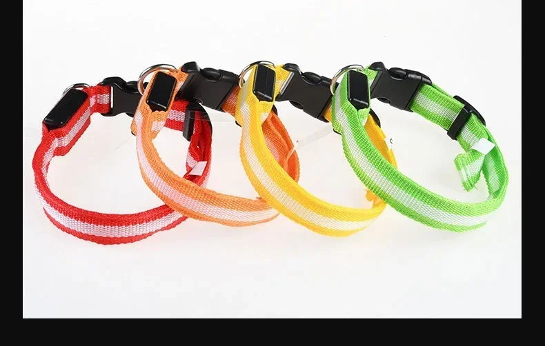 LED Night Safety Dog Collar - Glow in the Dark Flashing