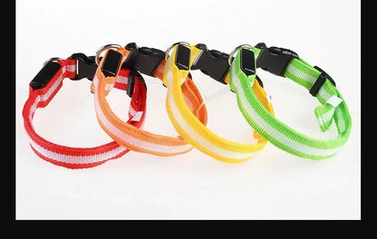 LED Night Safety Dog Collar - Glow in the Dark Flashing