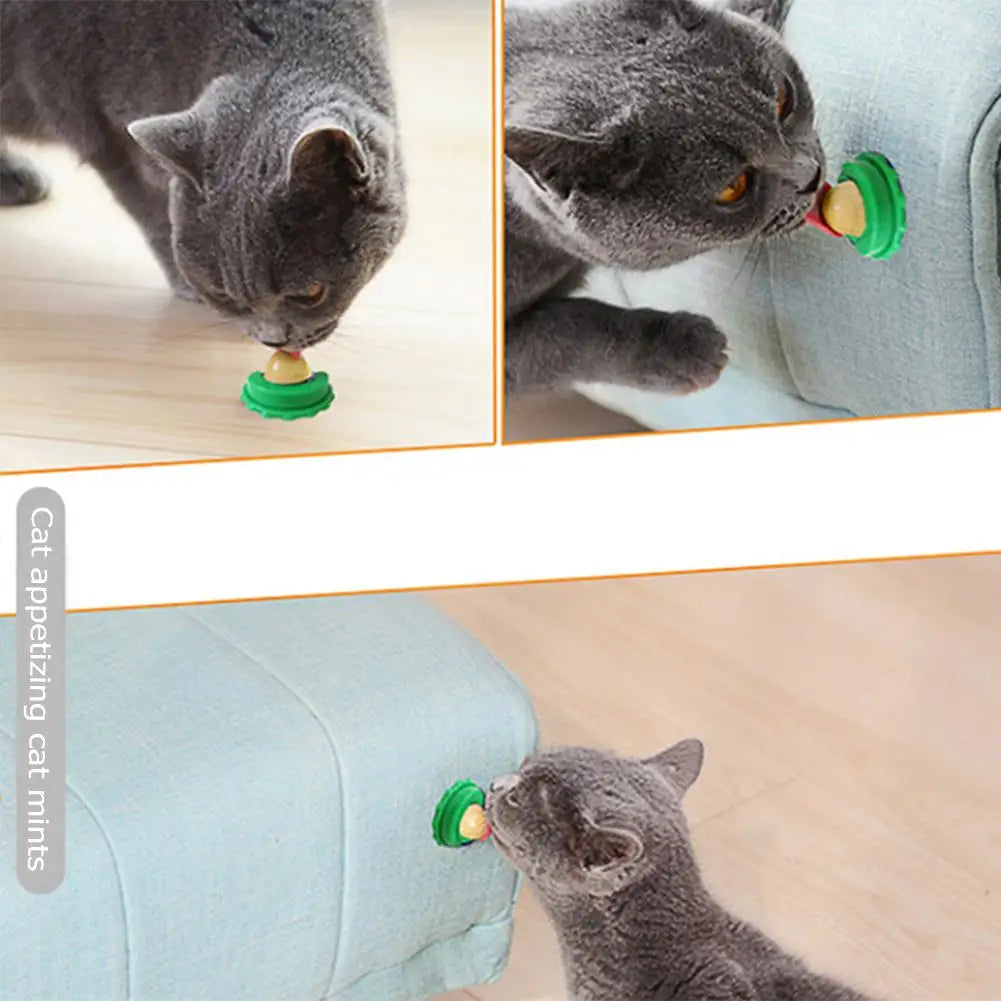 Cat Catnip Licking Candy – Fish Gel Energy Ball Snack to Boost Hydration