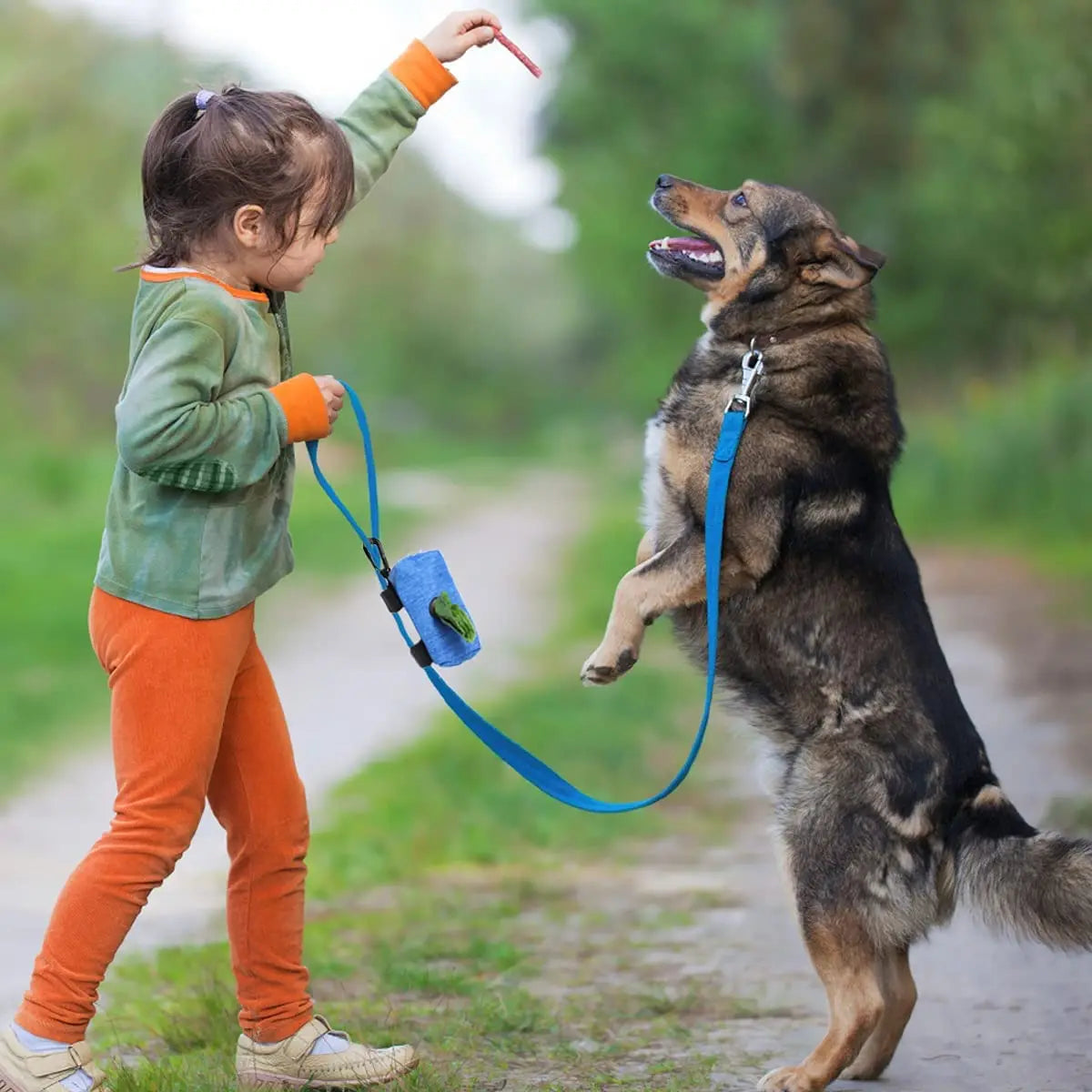 Dog Poop Bag Dispenser Storage Bag - Walking Waste Carrier