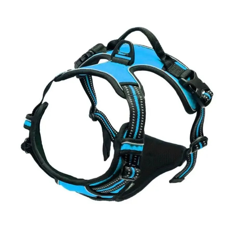 Dog Harness, Collar & Leash Set - Leather Puppy Accessories