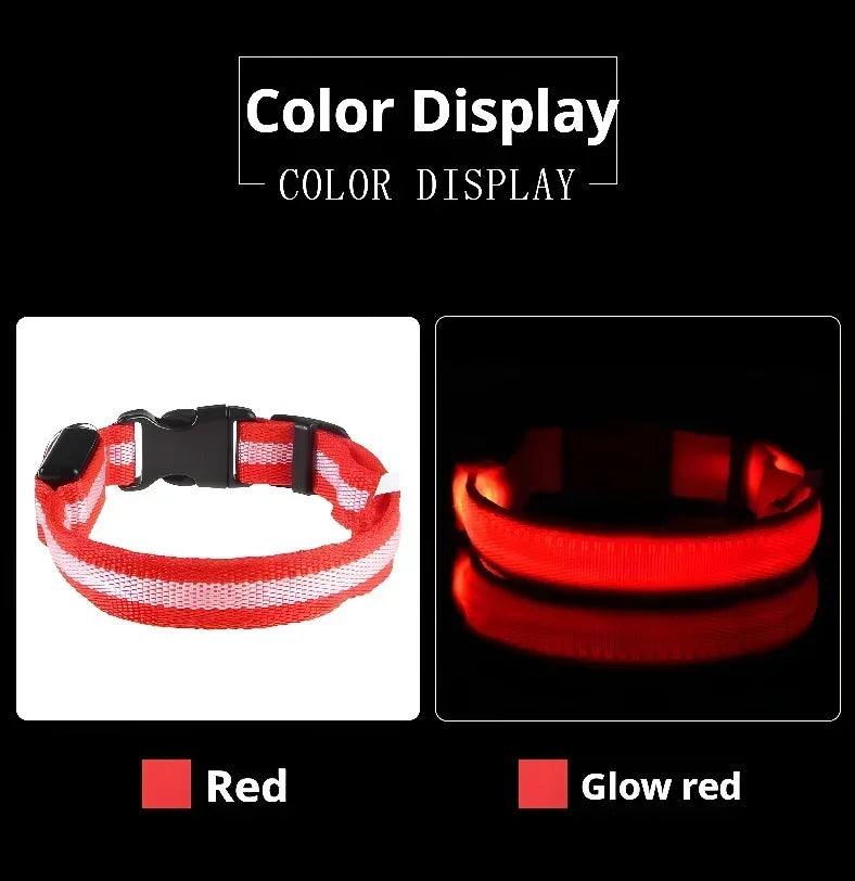 LED Night Safety Dog Collar - Glow in the Dark Flashing