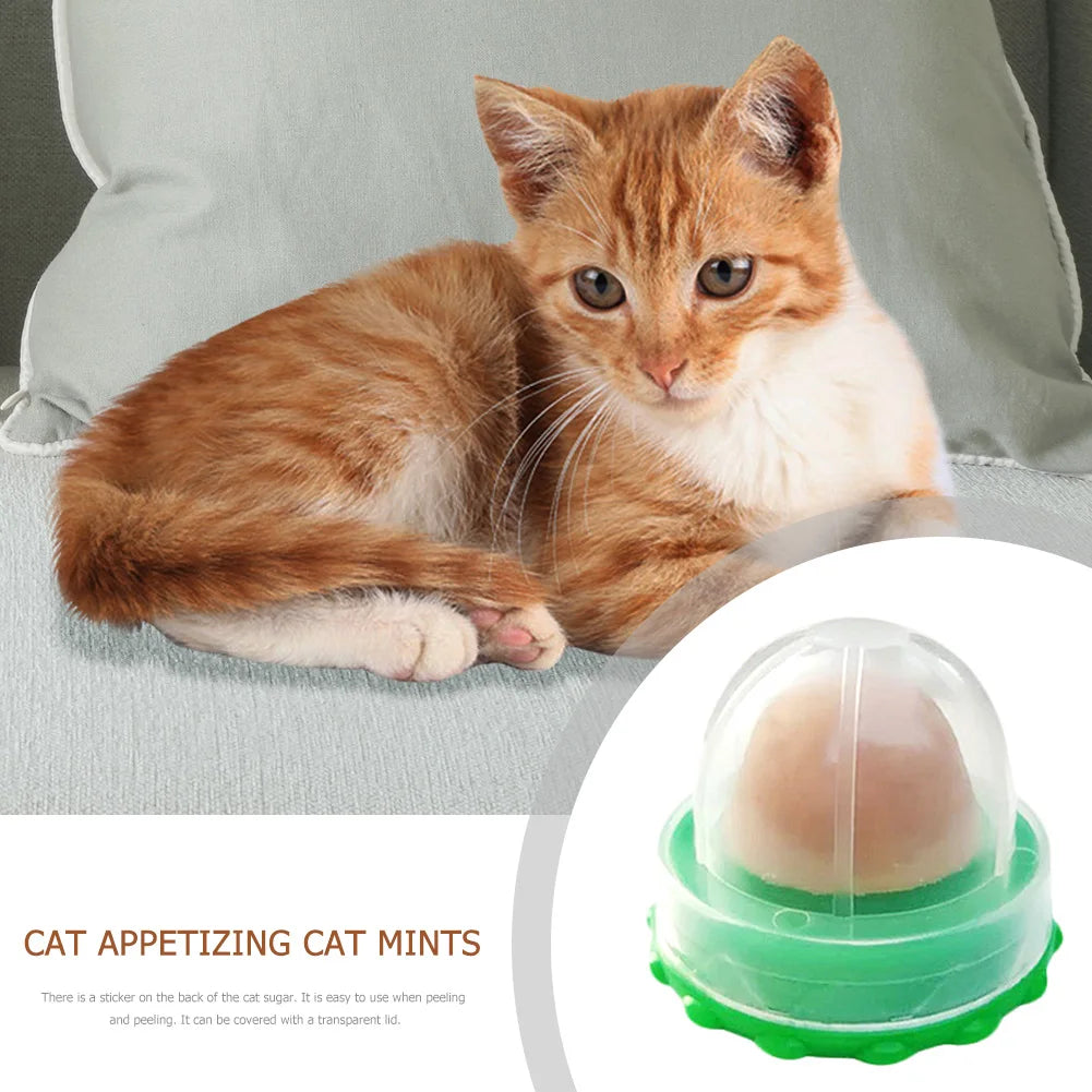 Cat Catnip Licking Candy – Fish Gel Energy Ball Snack to Boost Hydration