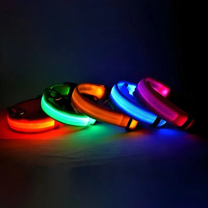 LED Night Safety Dog Collar - Glow in the Dark Flashing
