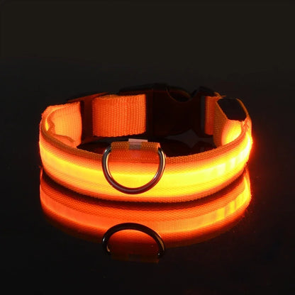 LED Night Safety Dog Collar - Glow in the Dark Flashing