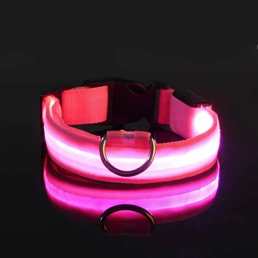 LED Night Safety Dog Collar - Glow in the Dark Flashing