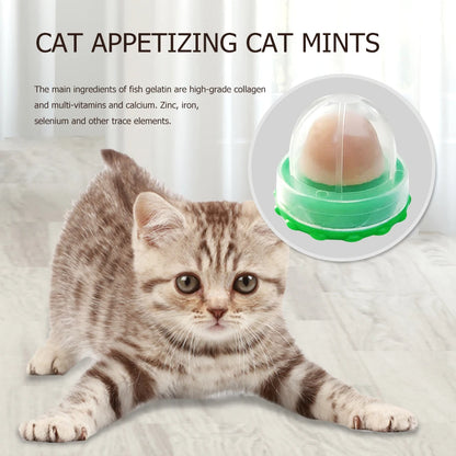 Cat Catnip Licking Candy – Fish Gel Energy Ball Snack to Boost Hydration