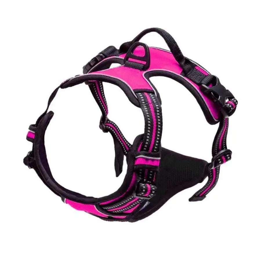 Dog Harness, Collar & Leash Set - Leather Puppy Accessories