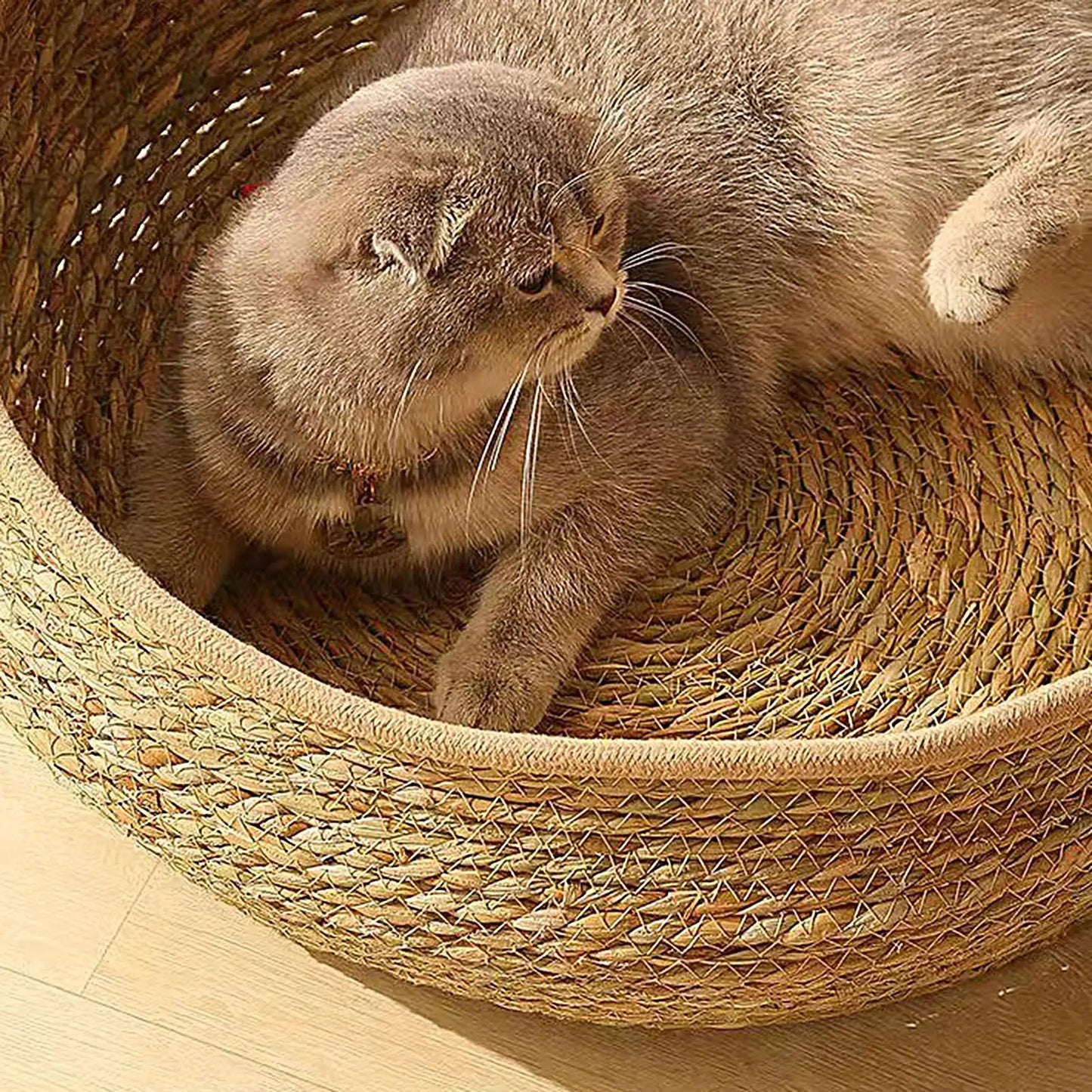 Woven Cat Nest Bed - All-Season with Soft Cushion Pillow