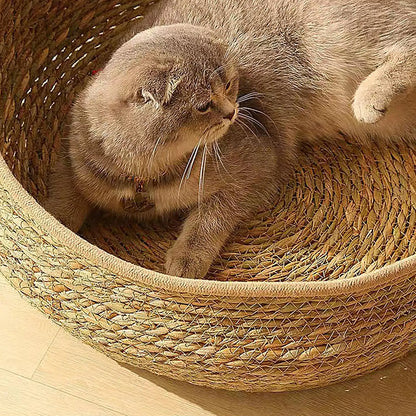 Woven Cat Nest Bed - All-Season with Soft Cushion Pillow