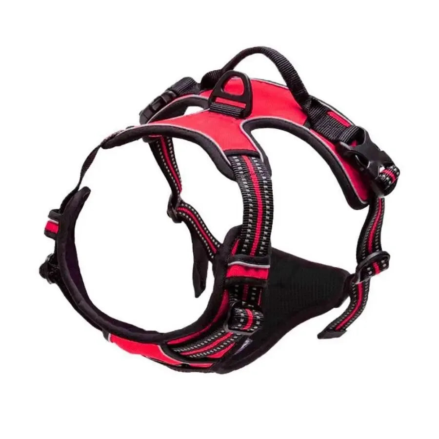 Dog Harness, Collar & Leash Set - Leather Puppy Accessories