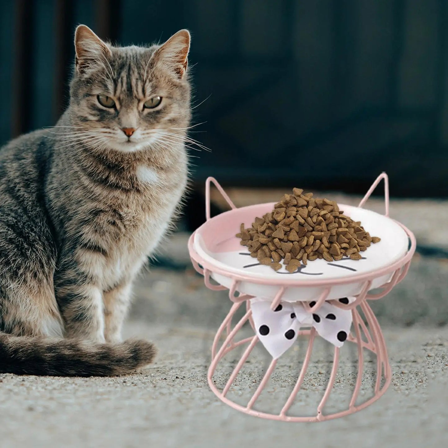 Raised Elevated Cat & Dog Bowl - Neck-Friendly Feeder