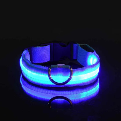 LED Night Safety Dog Collar - Glow in the Dark Flashing