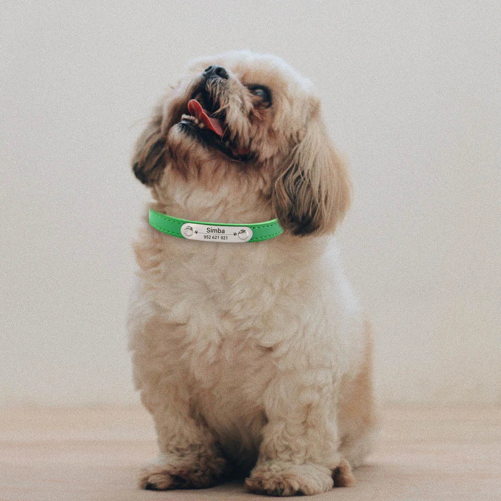 Personalised Dog Collar - Name Engraved PU Leather, Anti-Lost