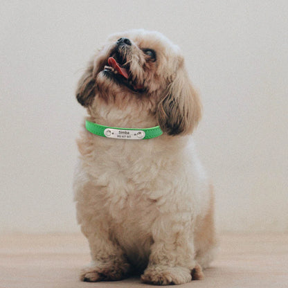 Personalised Dog Collar - Name Engraved PU Leather, Anti-Lost