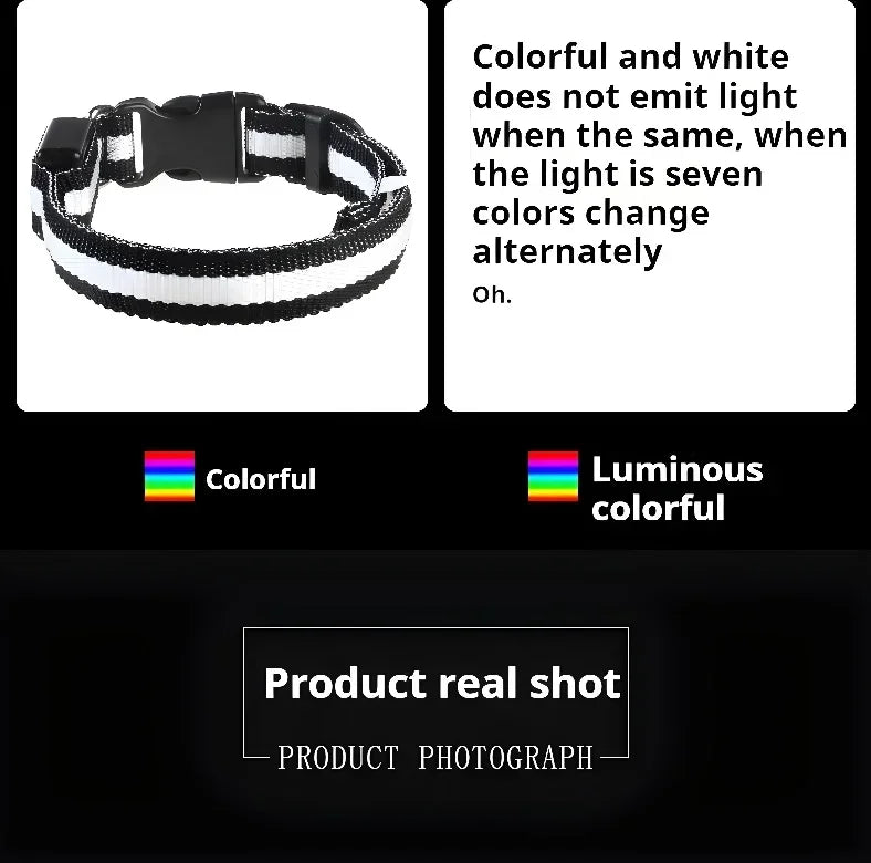 LED Night Safety Dog Collar - Glow in the Dark Flashing