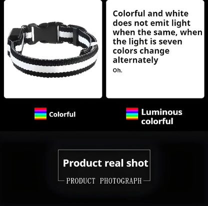 LED Night Safety Dog Collar - Glow in the Dark Flashing