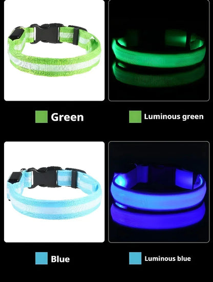 LED Night Safety Dog Collar - Glow in the Dark Flashing
