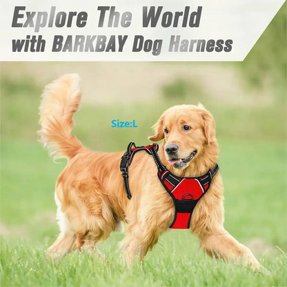 Dog Harness, Collar & Leash Set - Leather Puppy Accessories