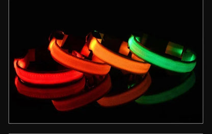 LED Night Safety Dog Collar - Glow in the Dark Flashing