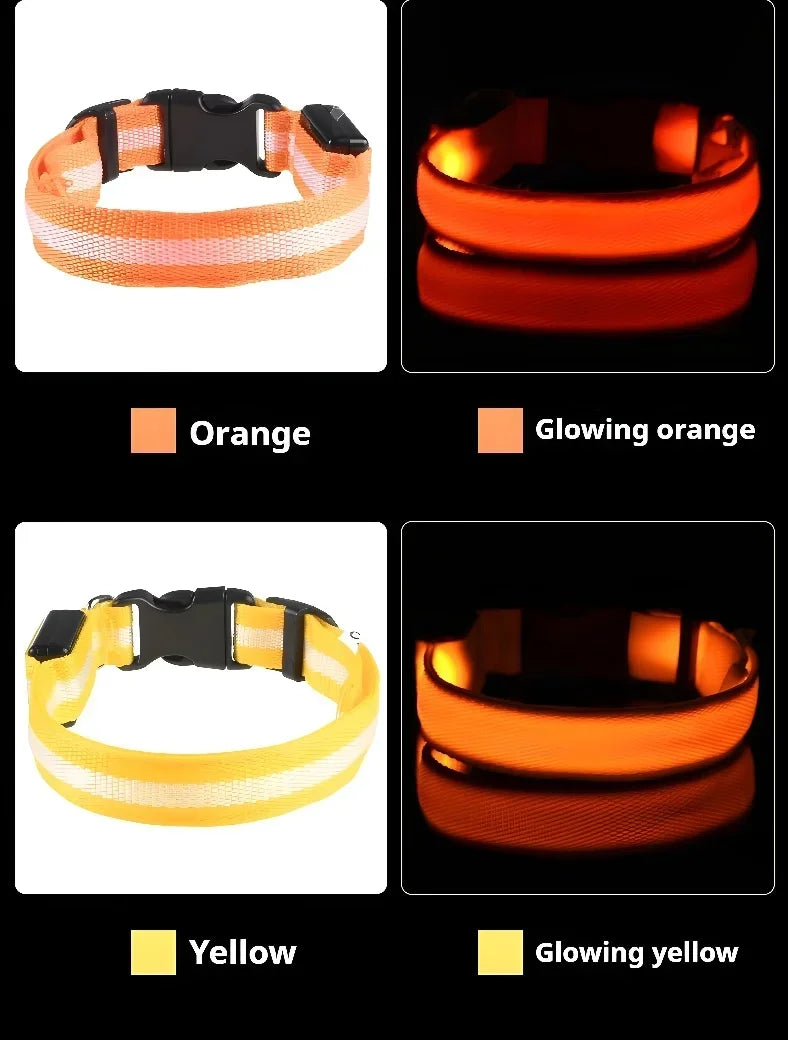 LED Night Safety Dog Collar - Glow in the Dark Flashing