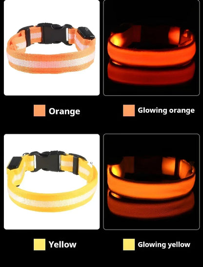 LED Night Safety Dog Collar - Glow in the Dark Flashing
