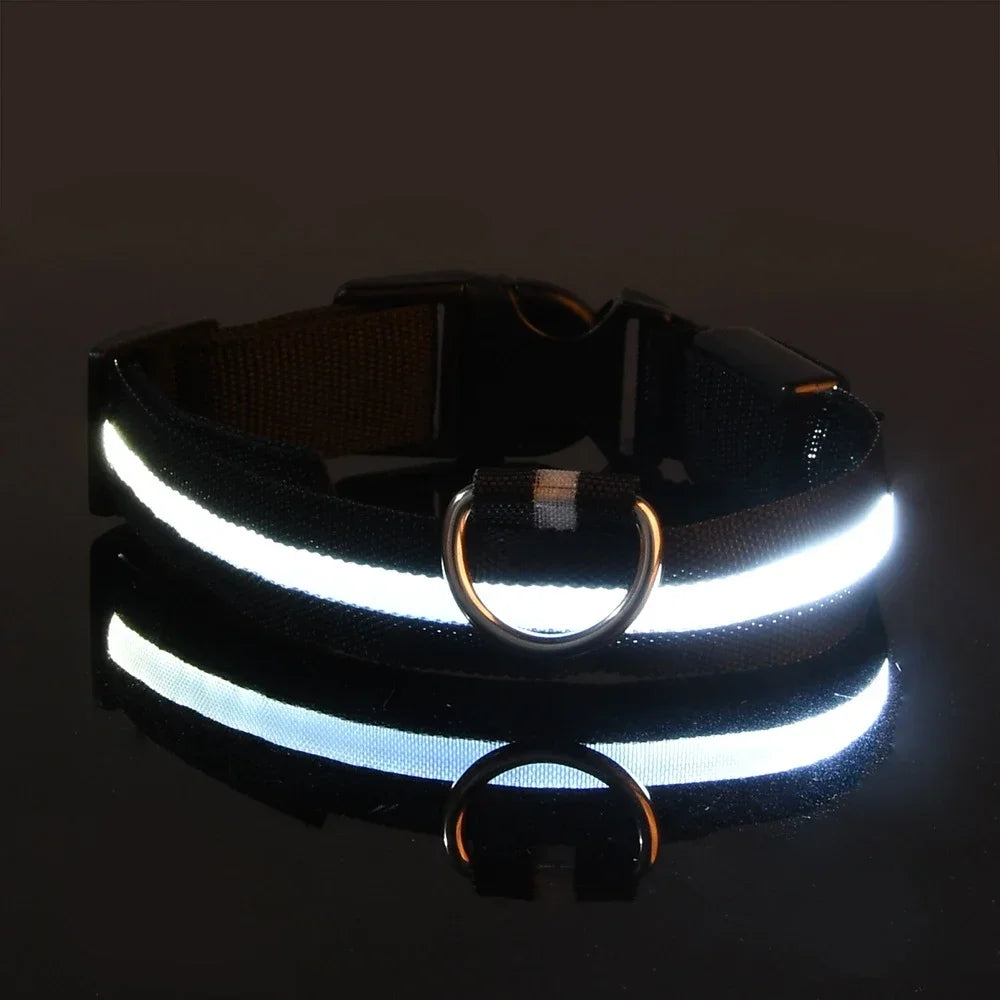 LED Night Safety Dog Collar - Glow in the Dark Flashing