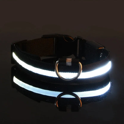 LED Night Safety Dog Collar - Glow in the Dark Flashing