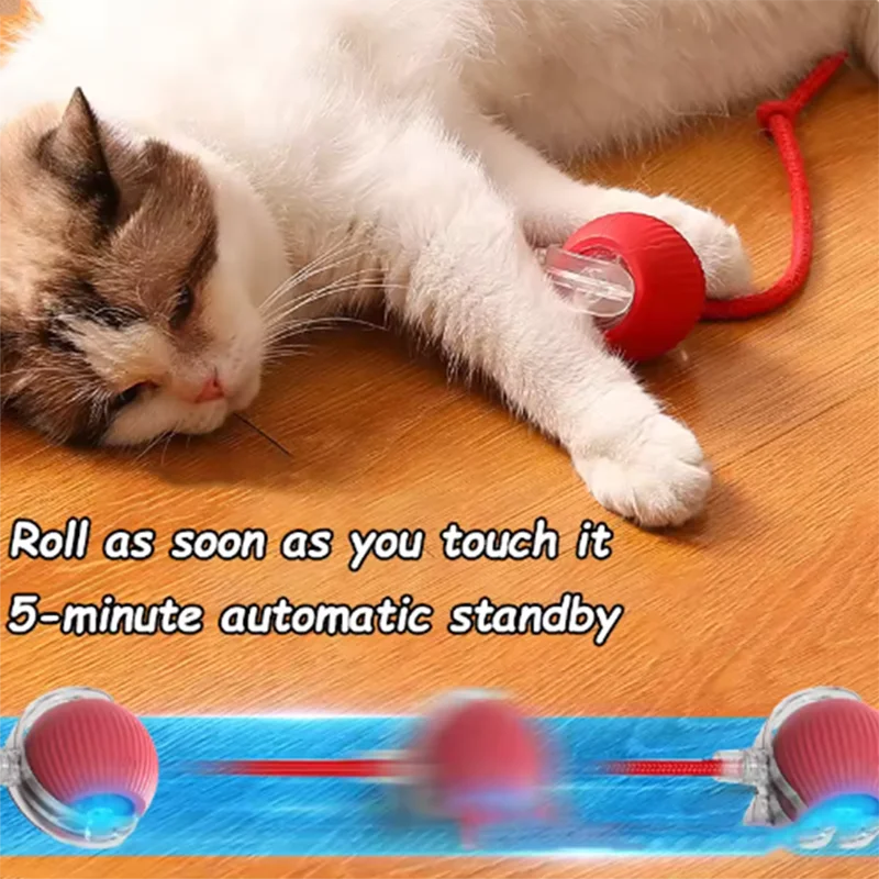 Cat Auto Teaser Ball & Stick Toy - Self-Entertaining