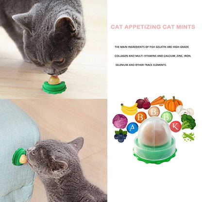 Cat Catnip Licking Candy – Fish Gel Energy Ball Snack to Boost Hydration