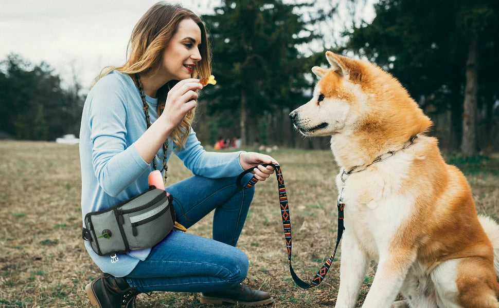 Dog Treat Training Pouch - Hands-Free Waist Bag