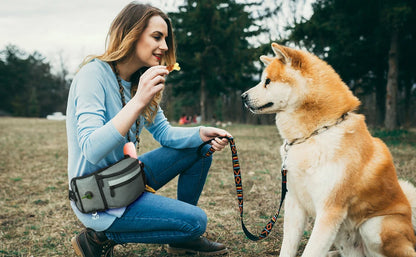 Dog Treat Training Pouch - Hands-Free Waist Bag