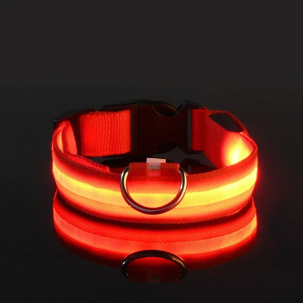 LED Night Safety Dog Collar - Glow in the Dark Flashing
