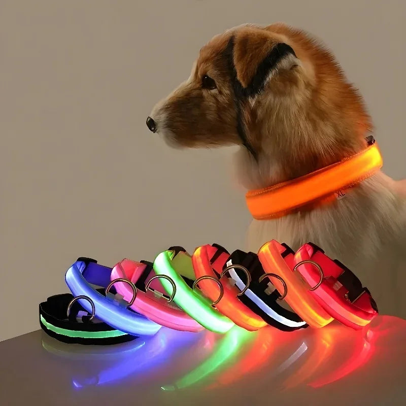 LED Night Safety Dog Collar - Glow in the Dark Flashing