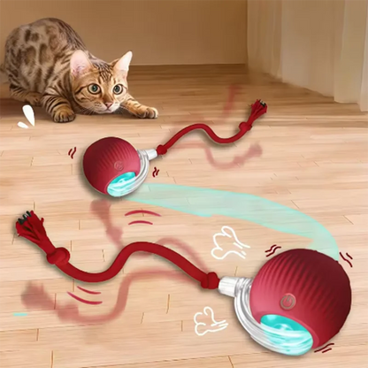 Cat Auto Teaser Ball & Stick Toy - Self-Entertaining