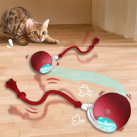 Cat Auto Teaser Ball & Stick Toy - Self-Entertaining