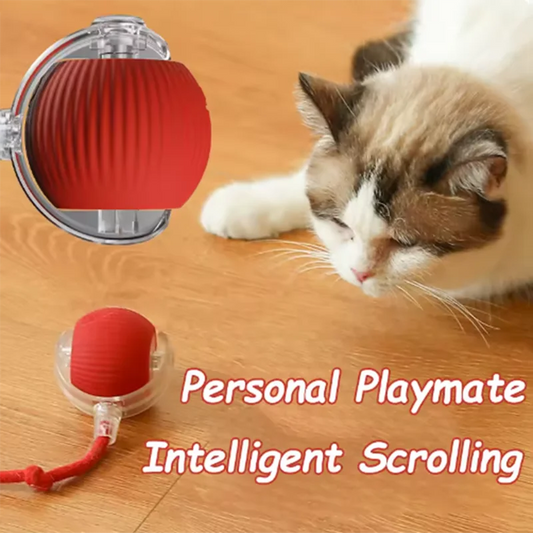 Cat Auto Teaser Ball & Stick Toy - Self-Entertaining