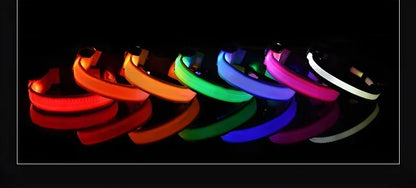 LED Night Safety Dog Collar - Glow in the Dark Flashing