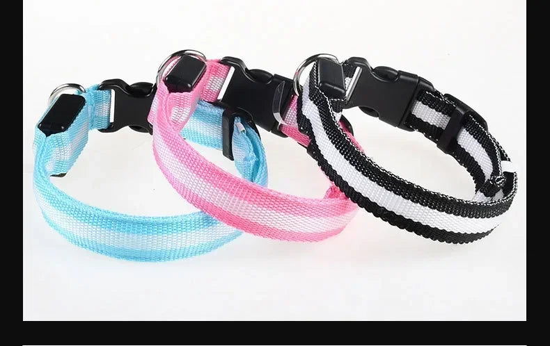 LED Night Safety Dog Collar - Glow in the Dark Flashing