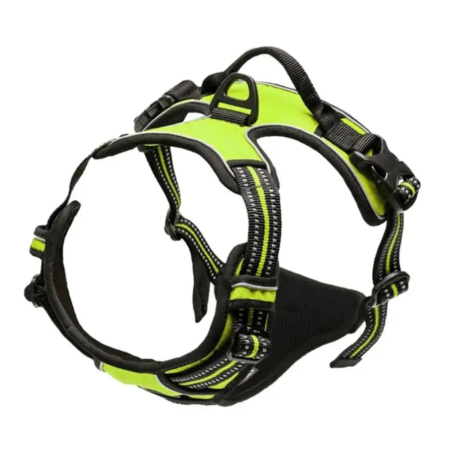 Dog Harness, Collar & Leash Set - Leather Puppy Accessories