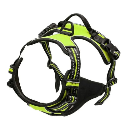 Dog Harness, Collar & Leash Set - Leather Puppy Accessories
