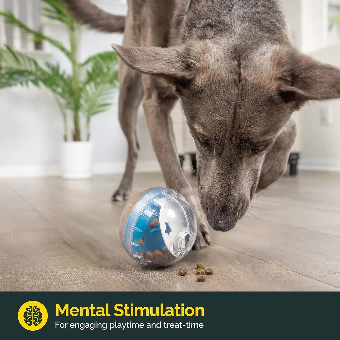 IQ Treat Ball - Interactive Slow Feeder Dog Toy