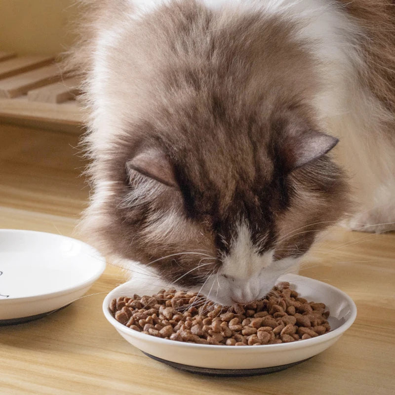 Ceramic Cat Bowl - Anti-Skid Kitten Feeding Dish
