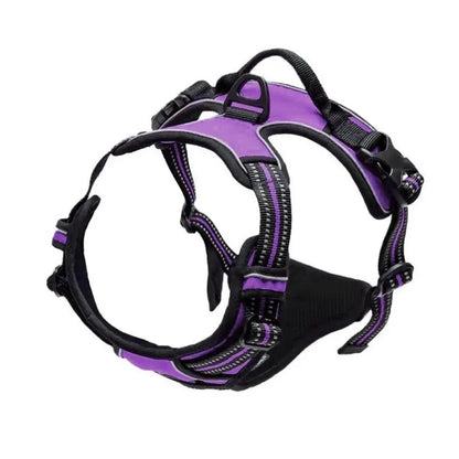 Dog Harness, Collar & Leash Set - Leather Puppy Accessories