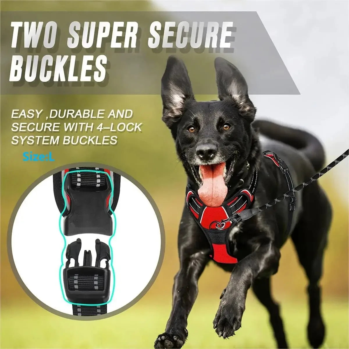 Dog Harness, Collar & Leash Set - Leather Puppy Accessories